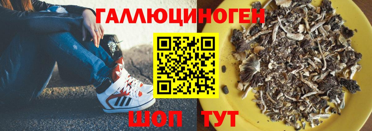 Псилоцибиновые грибы мицелий  Вход с VPN  Сарапул 